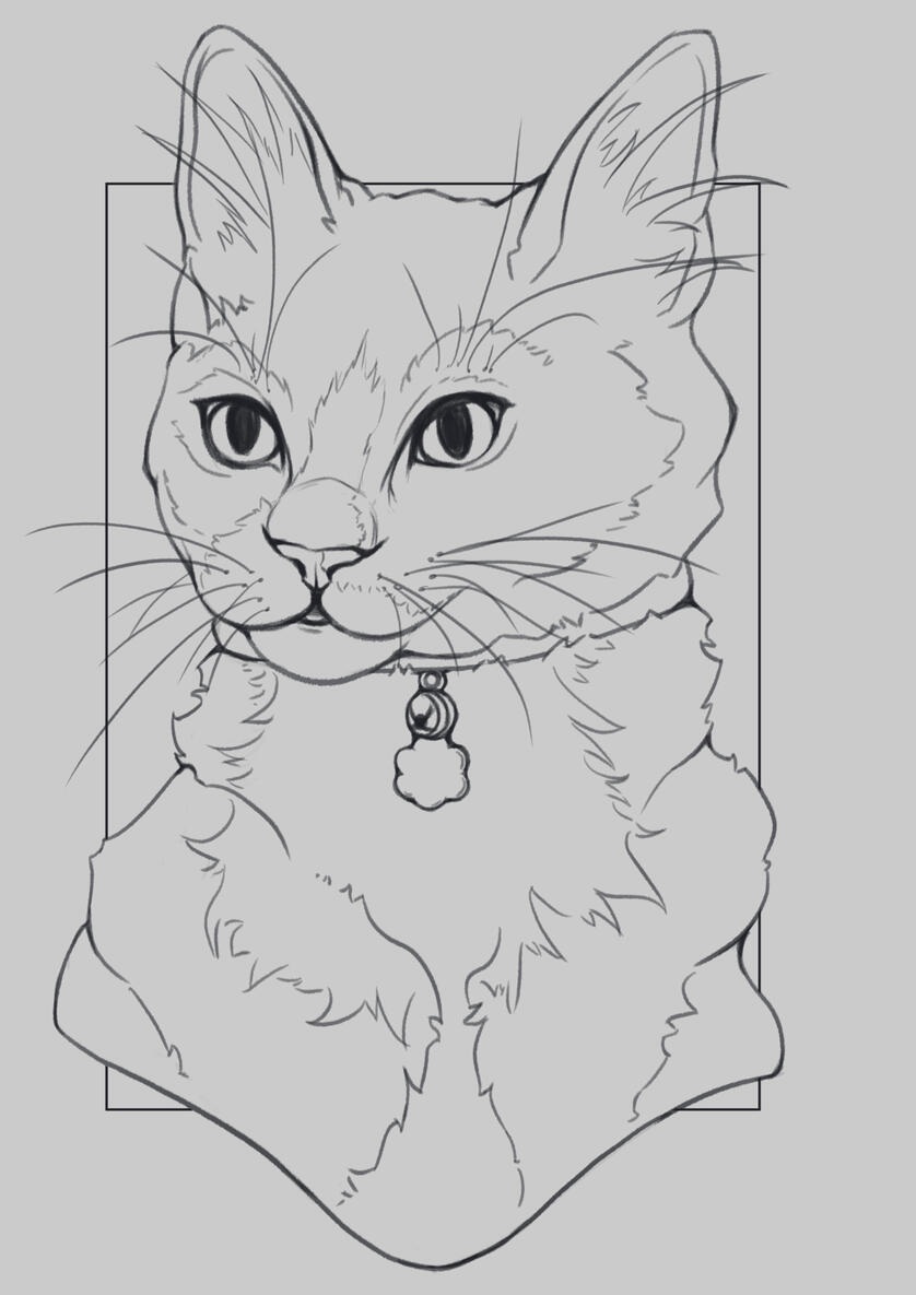 Pet Portrait - Line Art