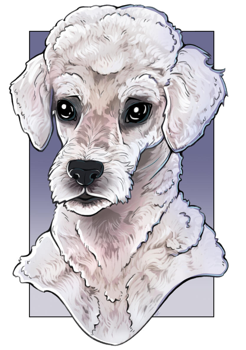 Pet Portrait - Full Color