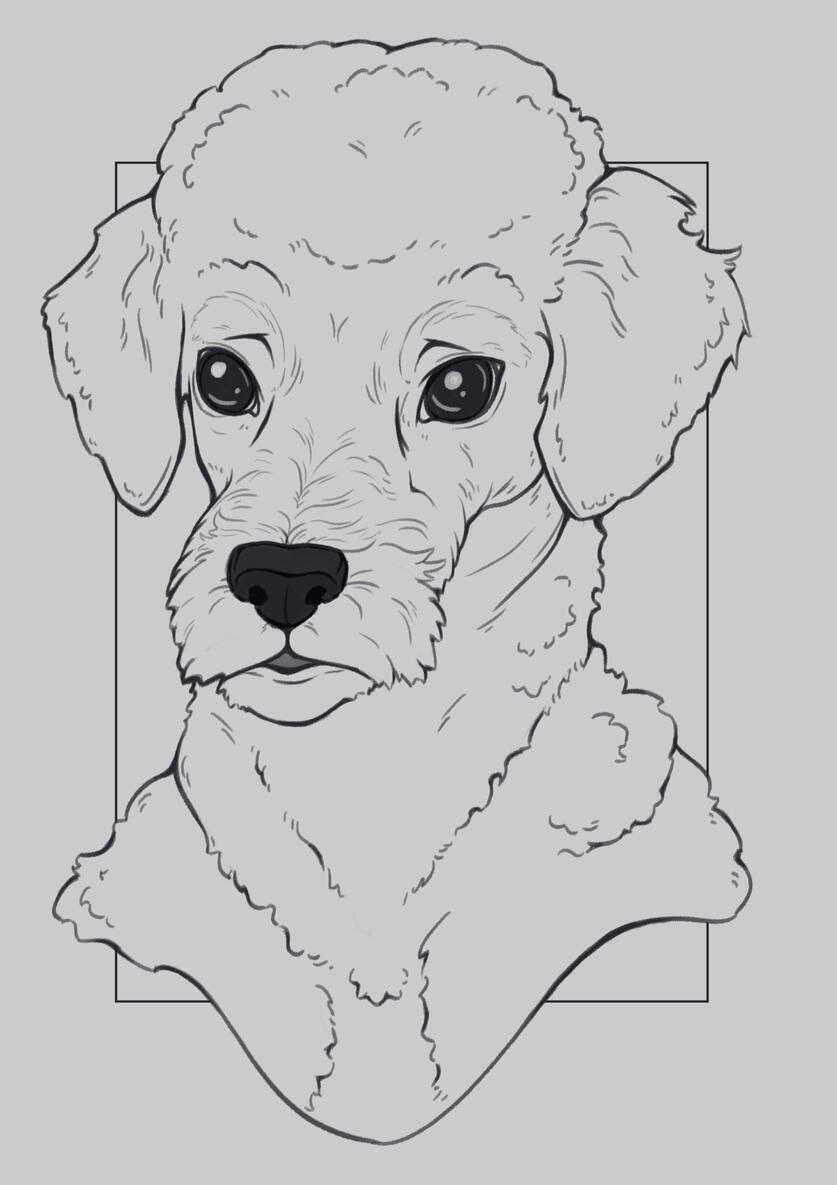 Pet Portrait - Line Art