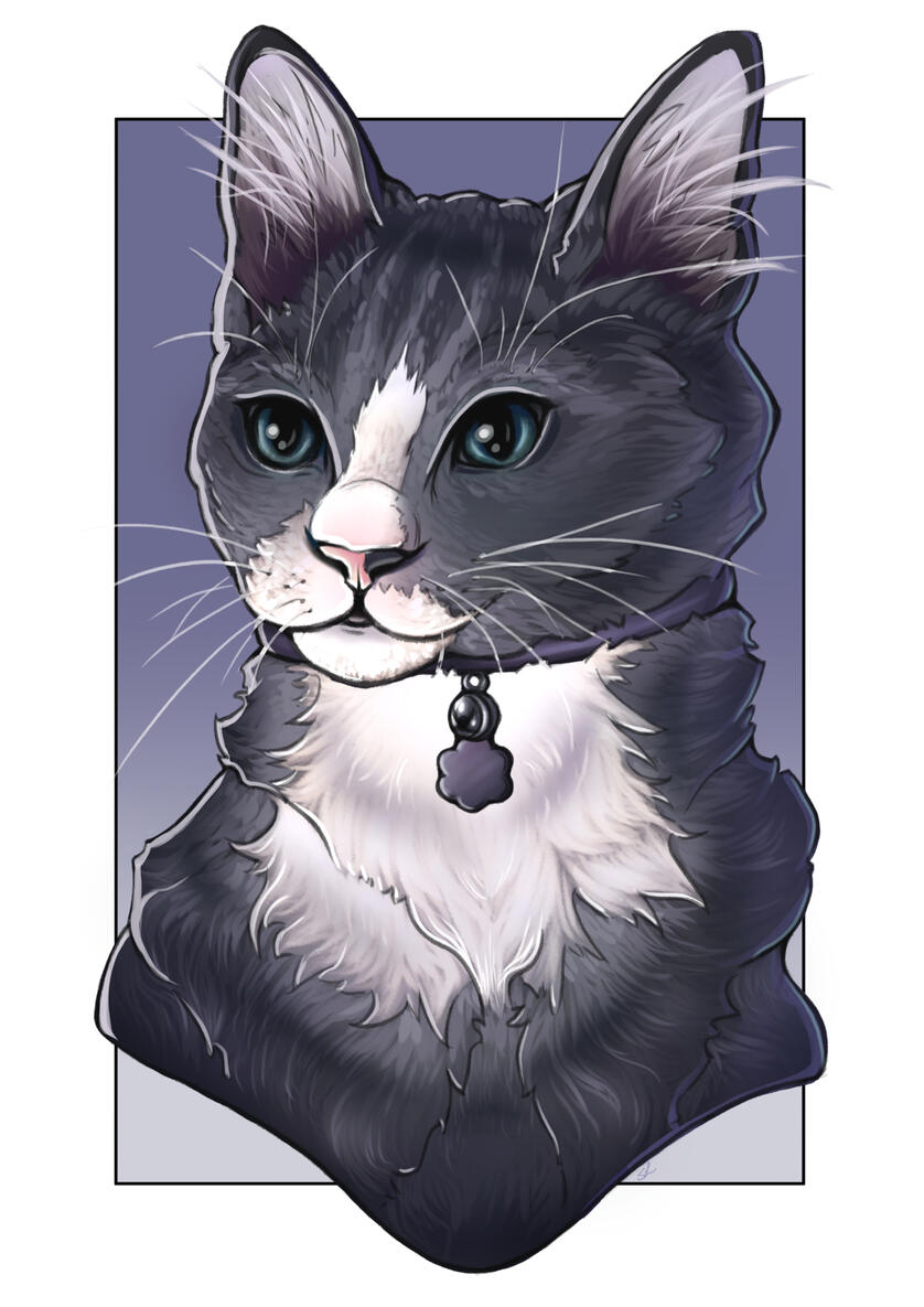 Pet Portrait - Full Color